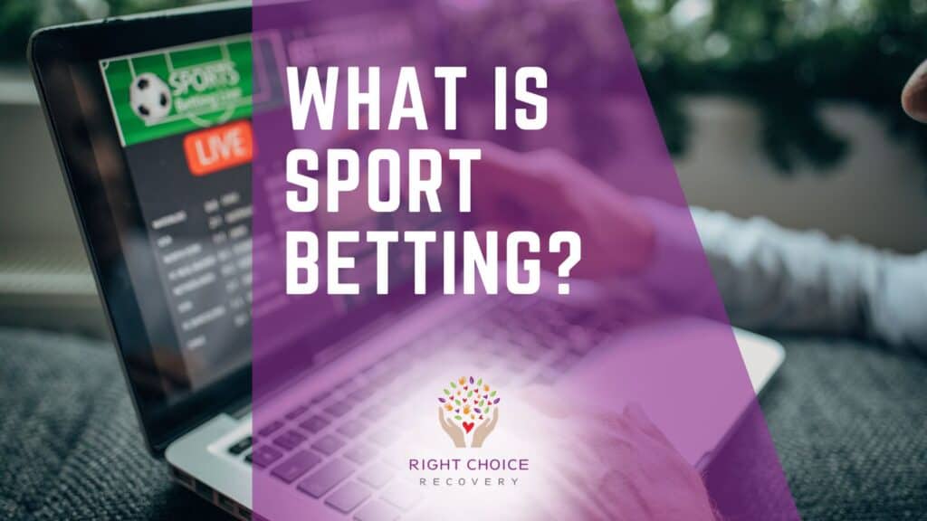 How to Use a Betting Exchange